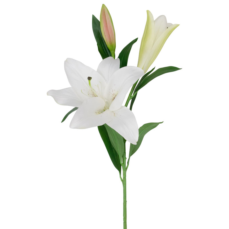 Lis artificiels à tiges florales, Blanc