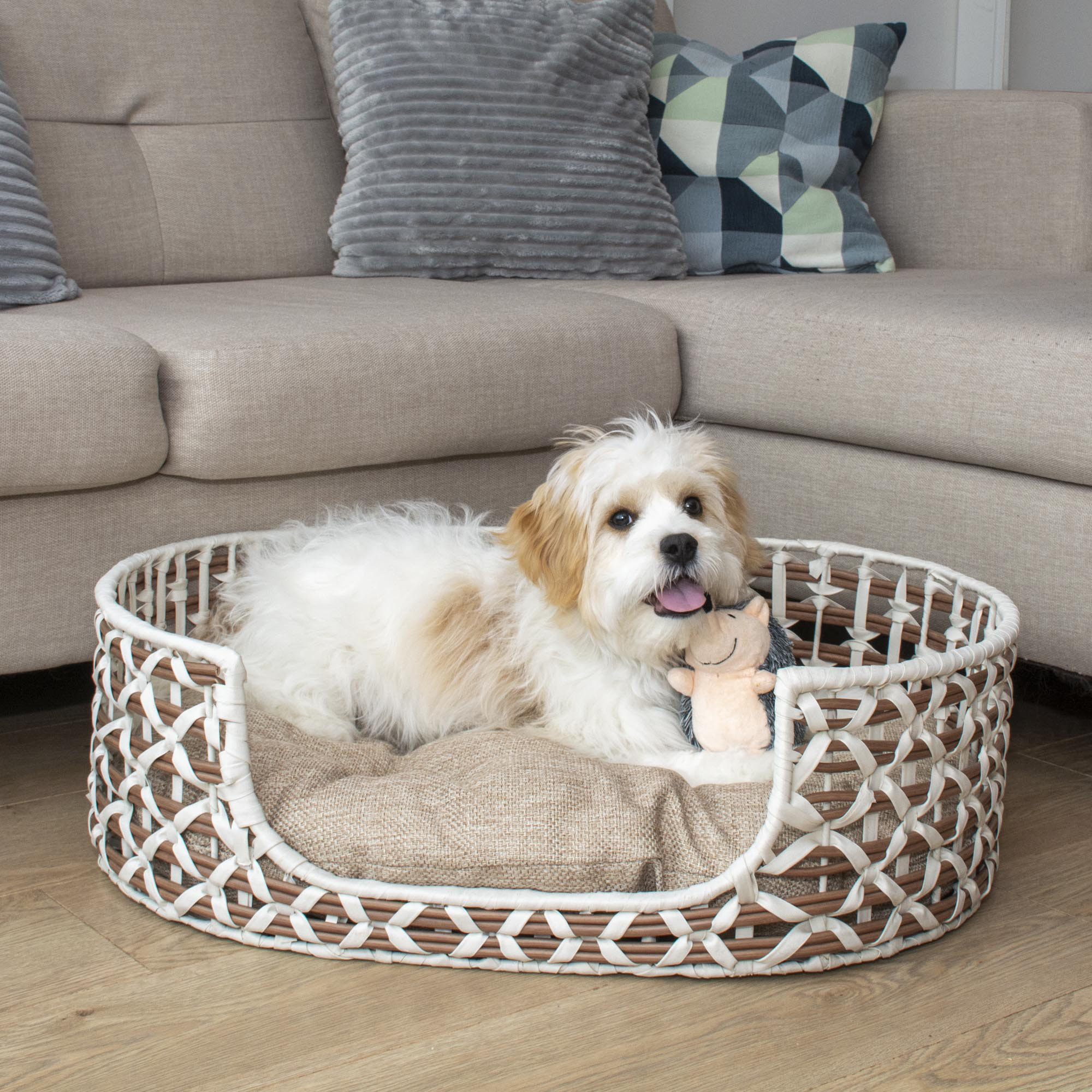 Oasis rattan 2024 dog bed