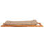 Phillippi 2 - Person Seating Group with Cushions-138080579