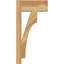 Sapin Douglas-113998552-109329543