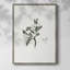 Impression florale vintage encadrée CL XXXV - bois massif-536662054