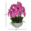Multiple Stems of Phaleanopsis Orchids Centerpiece in Planter-74417102