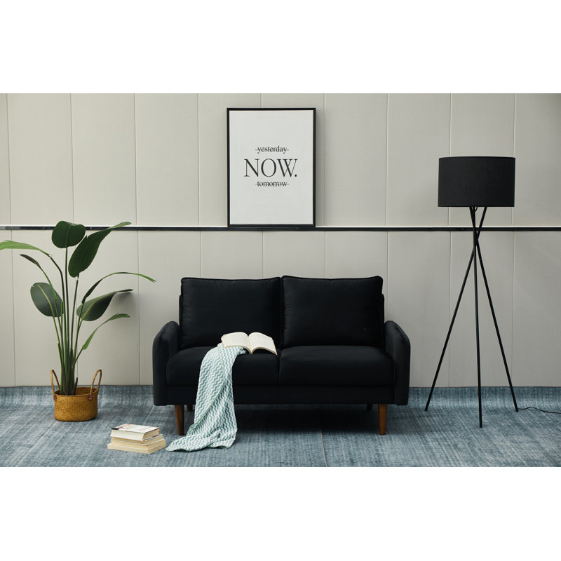Emteas 57.3'' Velvet Loveseat, Black Velvet