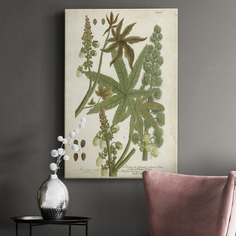 Weinmann, plantes tropicales I, impression sur toile tendue, H 36 po x l 24 po x P 1 po