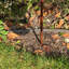 Isiah Animals Metal Garden Statue