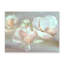 Nature Inspired Magnolia Dreams-1329607357-1329607358-1329607359