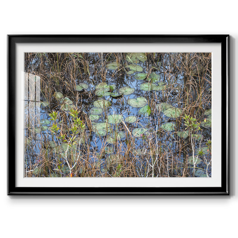 The Marsh, reproduction d'art encadrée, Noir, H 19 po x l 27 po x P 1,5 po
