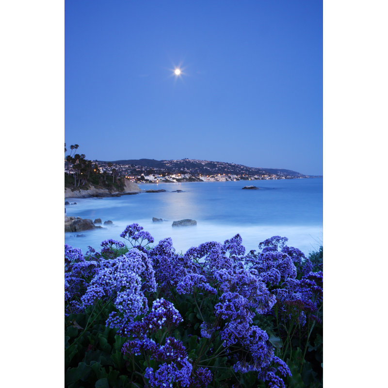 Moonrise Over Laguna - Wrapped Canvas Print, 122cm H x 81cm W x 3.8cm D