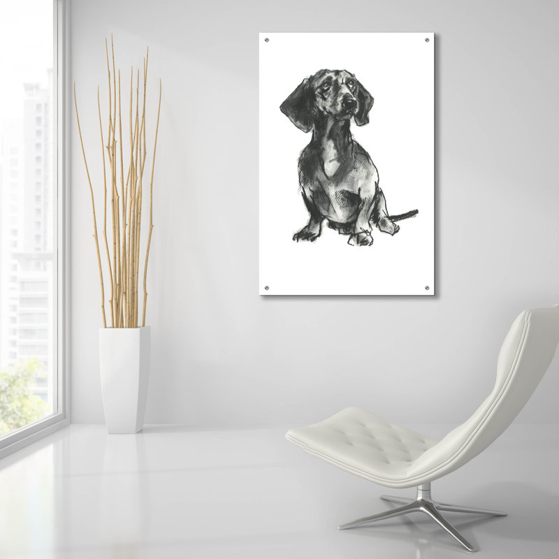  «Doggy Expressions 4» par Cartissi, art mural en verre acrylique, 24 po x 36 po, H 36 po x l 24 po