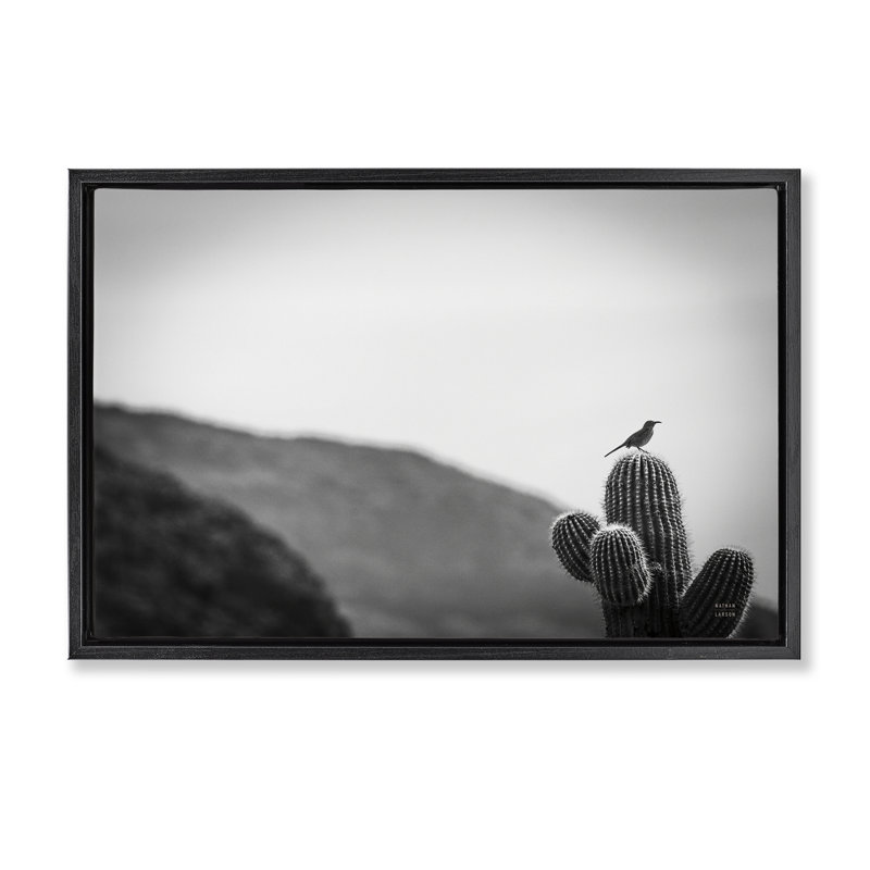 Toile flottante encadrée «On Guard Bird & Cactus» par Wild Apple, Cadre flottant noir de jais, H 21 po x l 31 po