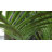 Panama 76.6 " H Faux Dracaena Tree in Fiberstone Planter