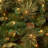 Quentin Pine Tree with Clear Lights-189428613