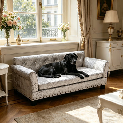 Canapé pour chien