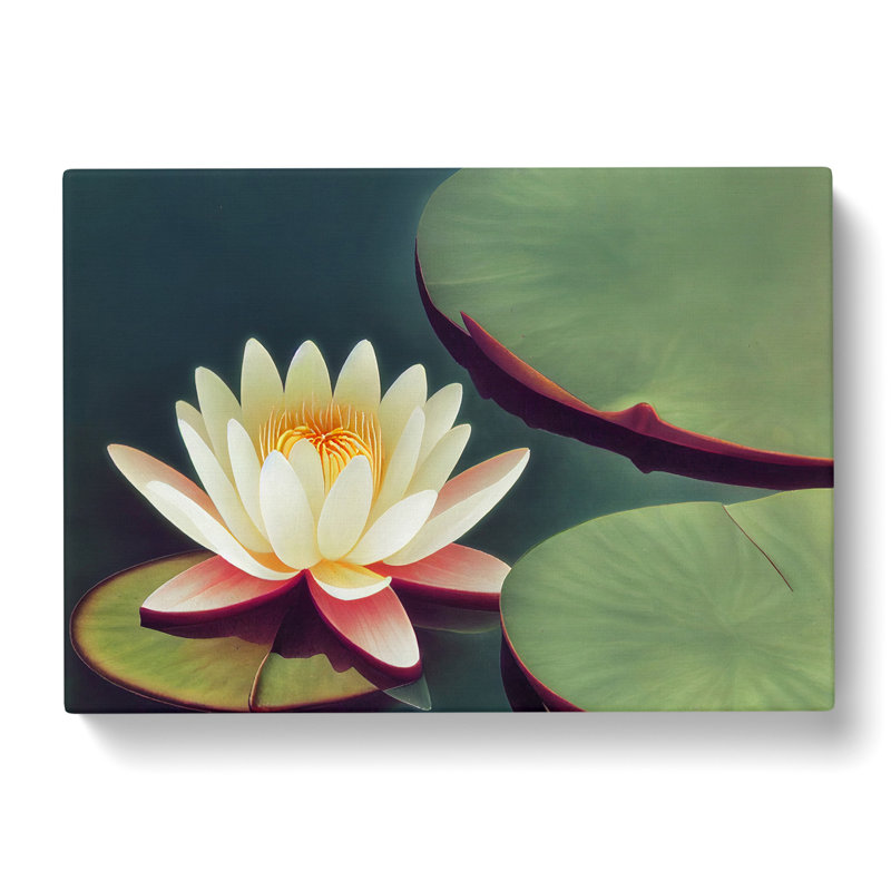 Blooming Water Lily Flower - Wrapped Canvas, 40cm H x 60cm W x 3cm D