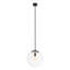 1 - Light Single Globe Pendant