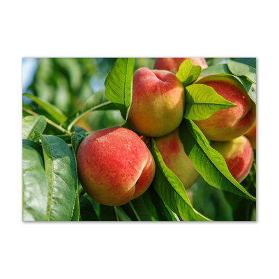 Peaches - Wrapped Canvas Print