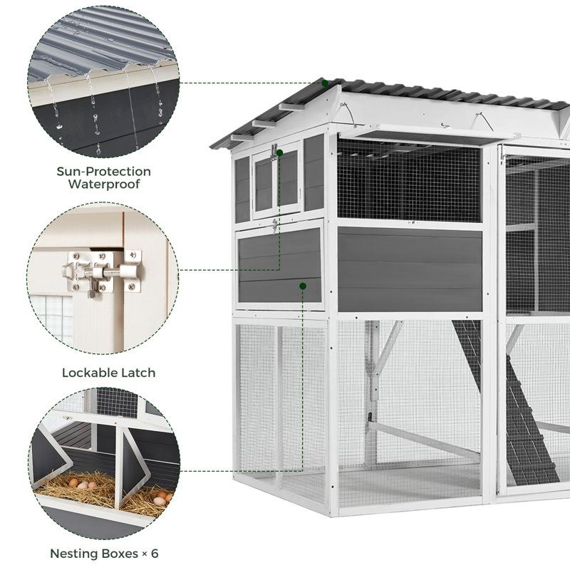 Cage extérieure pour animal de compagnie