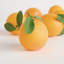 FAUX ORANGES 5 "ASSORTIS, ENSEMBLE DE 6