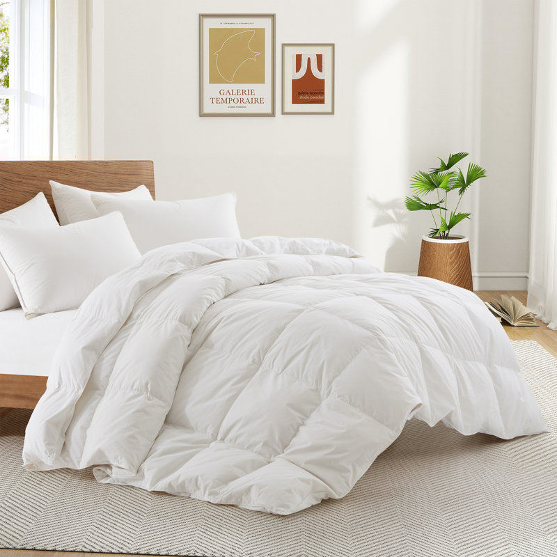 All Season Down Blend Down Comforter, Twin