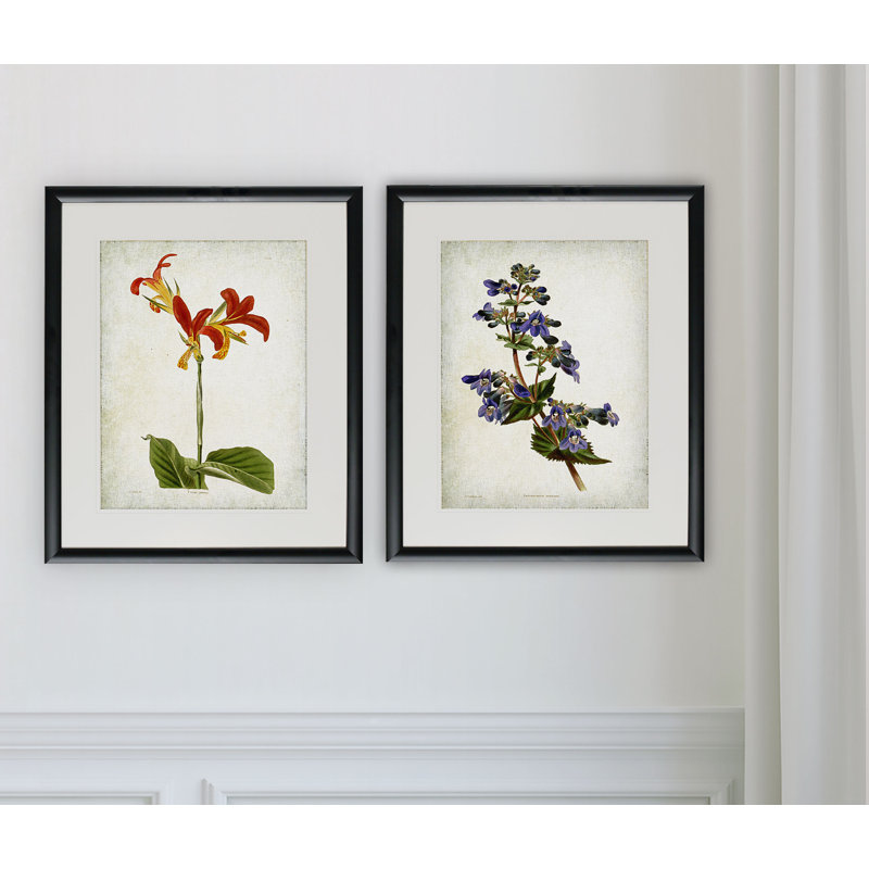 « rétro, esquisse botanique iii », ensemble de 2 reproductions de peintures à l’acrylique encadrées, Cadre noir