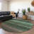 Ashuryn Green Washable Indoor-Outdoor Rug - LOOMLAN-1903129675
