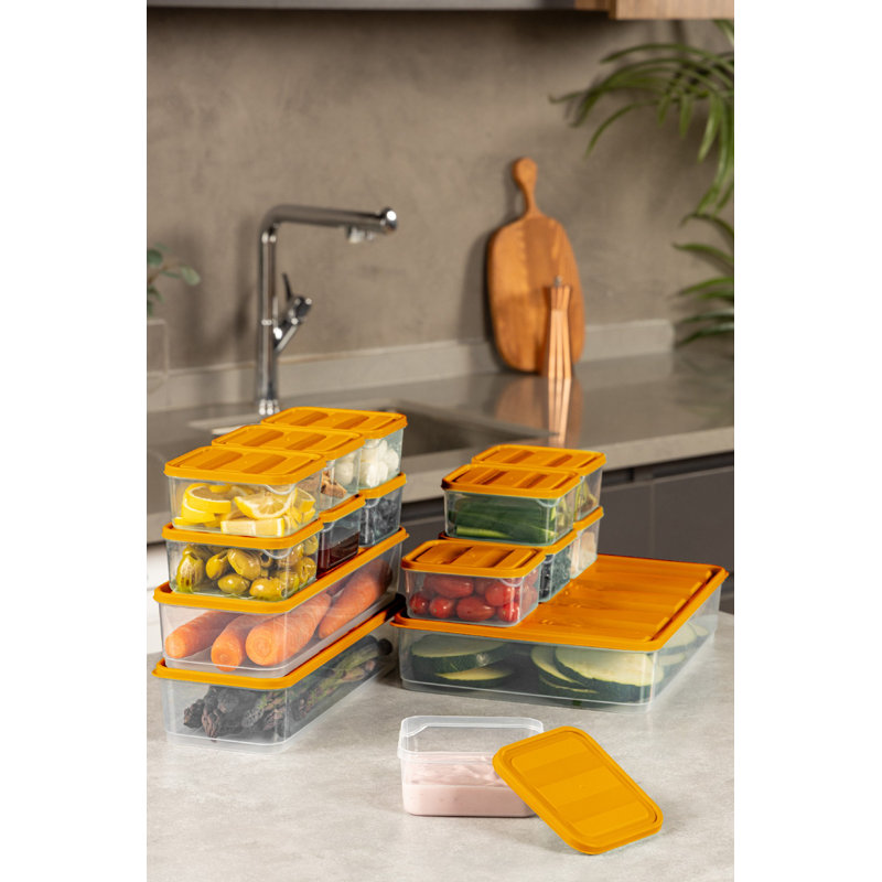 Ensemble de boîtes de rangement en plastique durable (13 pièces), orange | Comprend 2 x 4,3 x 11,8 x 2,8 po (1650 ml), 2 x 9,1 x 5,9 x 2,8 po (1750 ml), 6 x 3,5 x 4,1 x 2,2 po (350 ml), 3 x 9,1 x 11,6 x 2,6 po ml) | Va au lave-vaisselle, idéal pour organiser la maison et le bureau