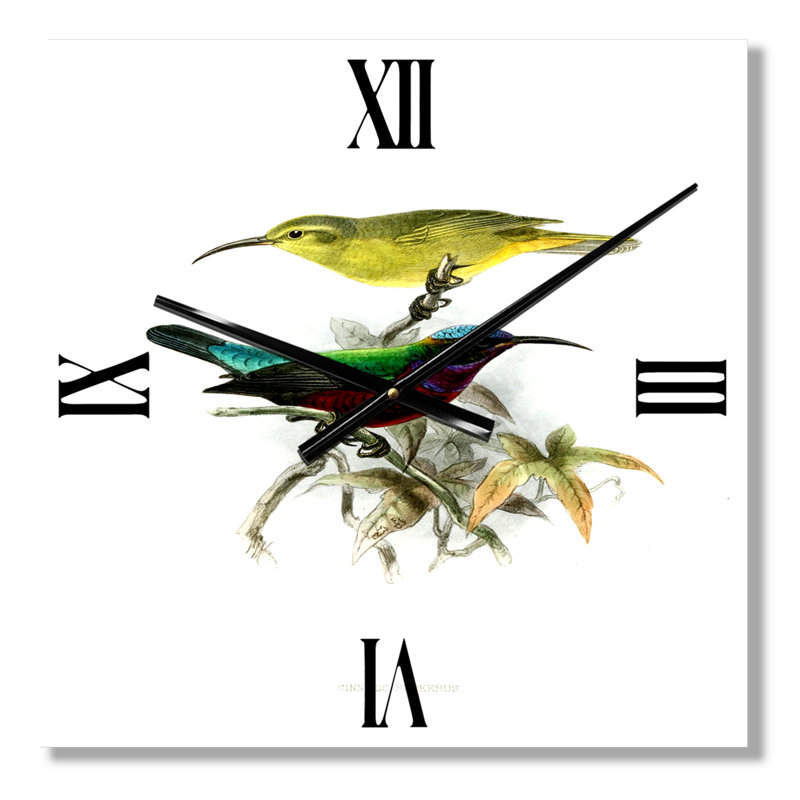 Horloge murale rétro Vintage, oiseaux australiens XV, Grand