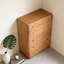 Commode d'appoint de style rétro moderne