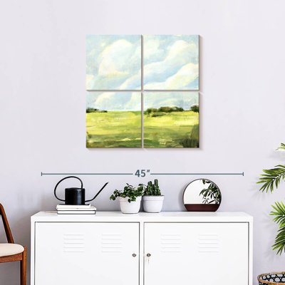 Alvord Open Fields I