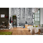 Lawton Wall Mural