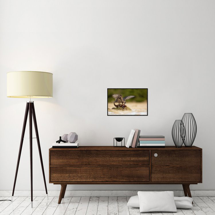 " Peregrine Falcon " by Milan Zygmunt, 14.7" H x 22" W x 1.5" D