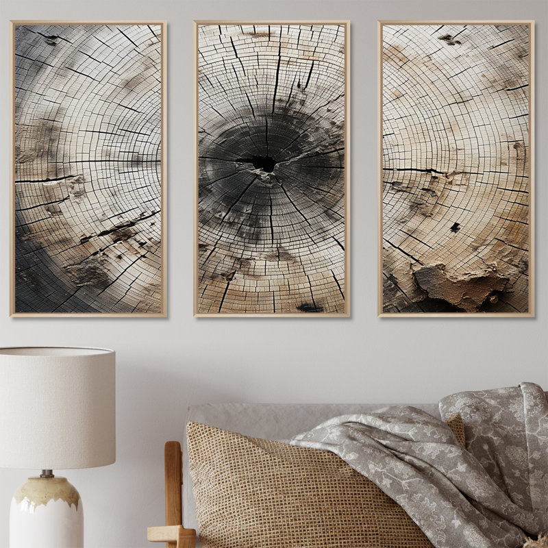 Tree Cut Stump Beauty - Ensemble de décoration murale arbre séquoia, H 28 po x l 36 po x P 1 po, Cadre naturel flottant