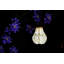 Lanterne Antonucci-1584760401