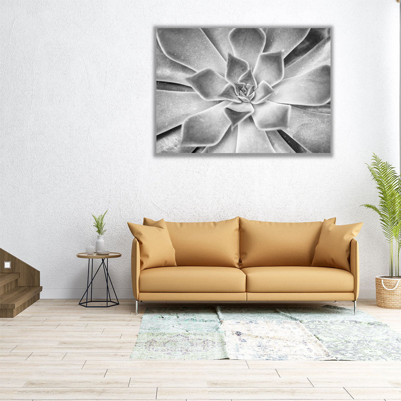 «Succulent Plant Black and White», reproduction d'art sur toile, H 18 po x l 24 po