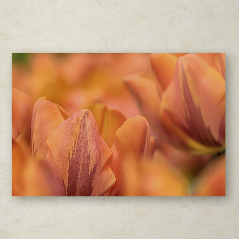 « orange tulips », reproduction de photo sur toile tendue, H 12 po x l 19 po x P 2 po