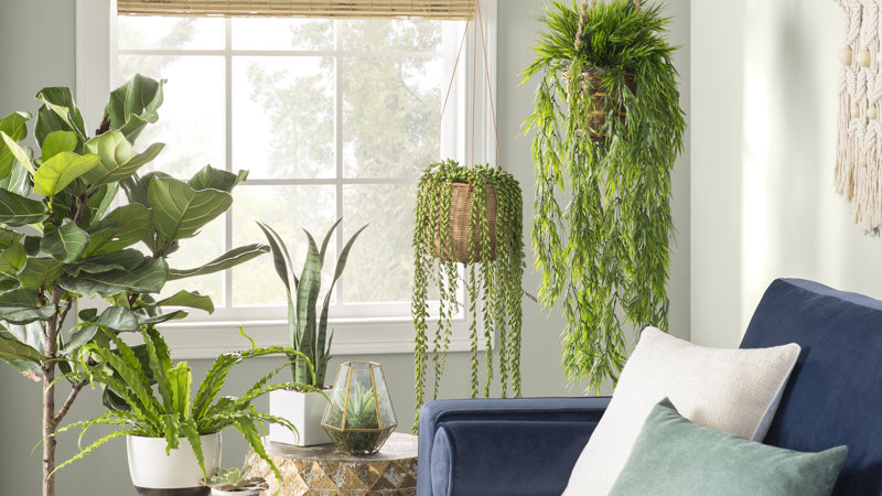 Decorating With Plants: How to Style Plants for a Stunning Display