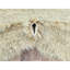 Vannya One-of-a-Kind Rectangle 7'7" X 9'10" New Age Area Rug in Grey