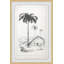 The Arecaceae - Single Picture Frame Painting-335151844