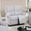Ensemble de salon de style moderne 2 pièces Canapé 1 x Causeuse 1 x Dossier de soutien entièrement rembourré Sincère finition os