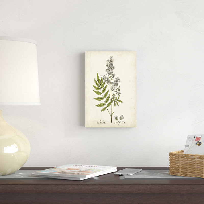 Herbe antique botanique III, H 12 po x l 8 po