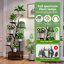 Plant Stand 2 Tier Set of 2