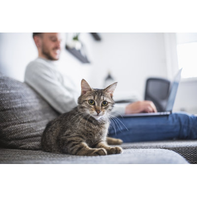 Adulte de race blanche caressant un chat domestique par Azmanjaka