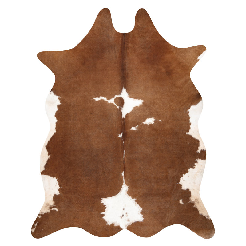 Pingree Tierdruck Area Rug, Novelty 155 x 195cm