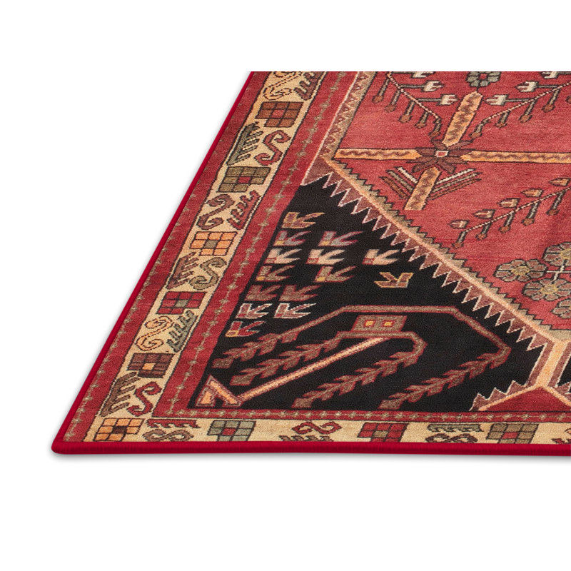 Cardonaghy Oriental Indoor Rug, Rectangle 2' x 4'