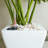2-Pack Smart Self-Watering Planter Pot