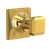 Unlacquered Brass