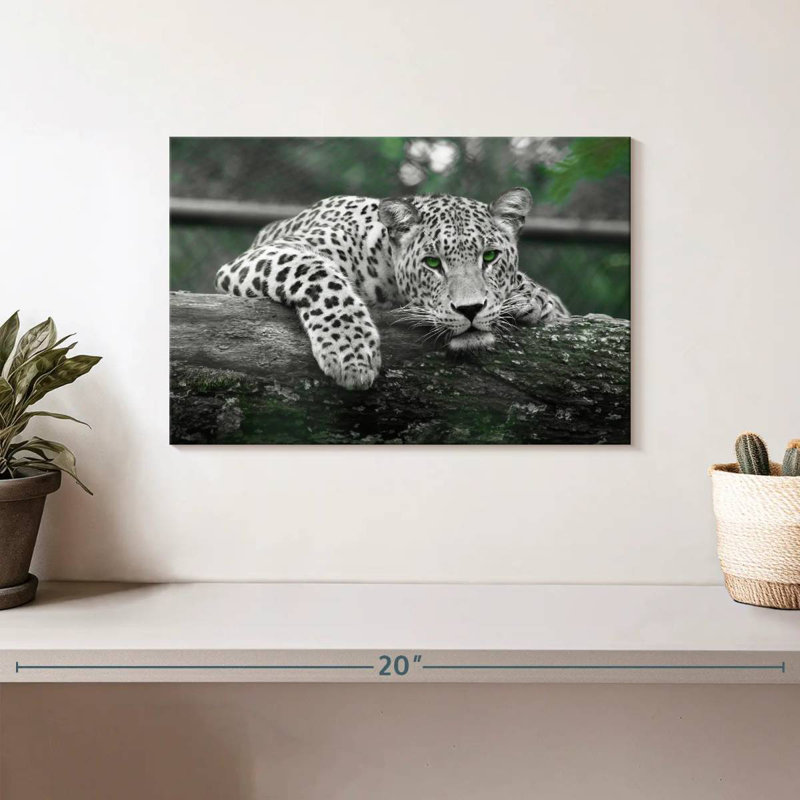 Jaguar aux yeux verts, H 8 po x l 12 po