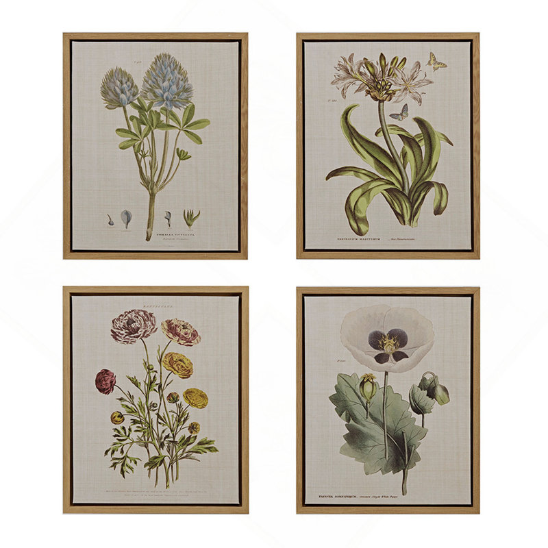 Ensemble de 4 impressions sur toile encadrées Botanical Illustration