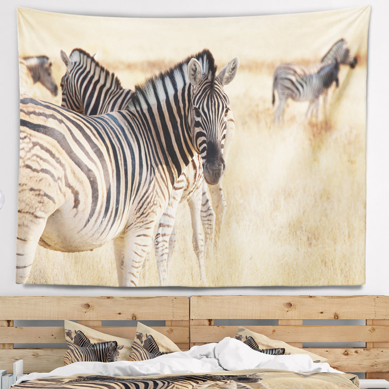 Zèbre africain à Etosha se promenant dans la tapisserie d'herbe, H 68 po x l 80 po