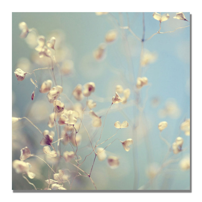 « little secrets » par "beata czyzowska young, reproduction de photo sur toile tendue, H 24 po x l 24 po x P 2 po